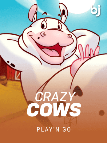 Crazy Cows game cover